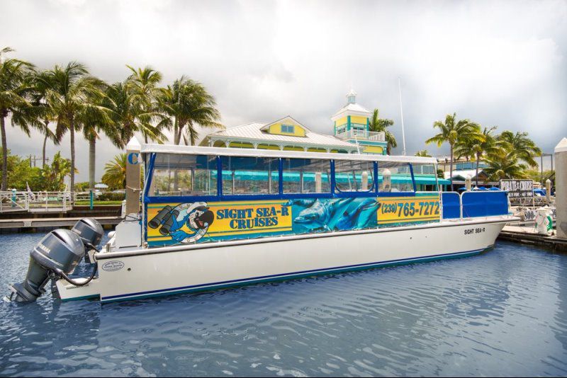 591f4f32-488a-490d-98f1-461906a6e7df_l