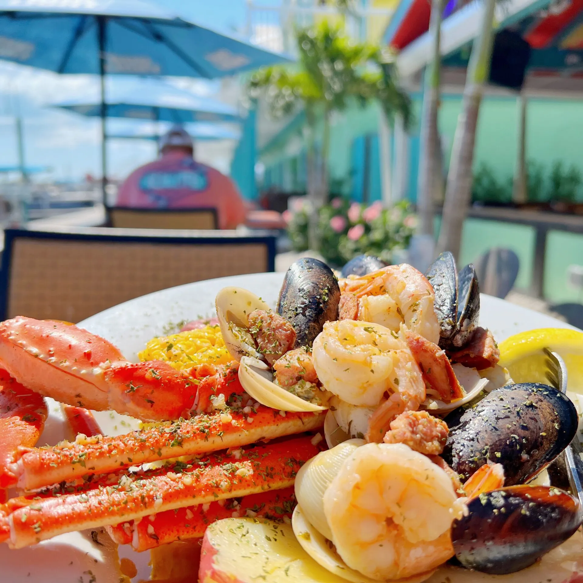 a plate of food on a table