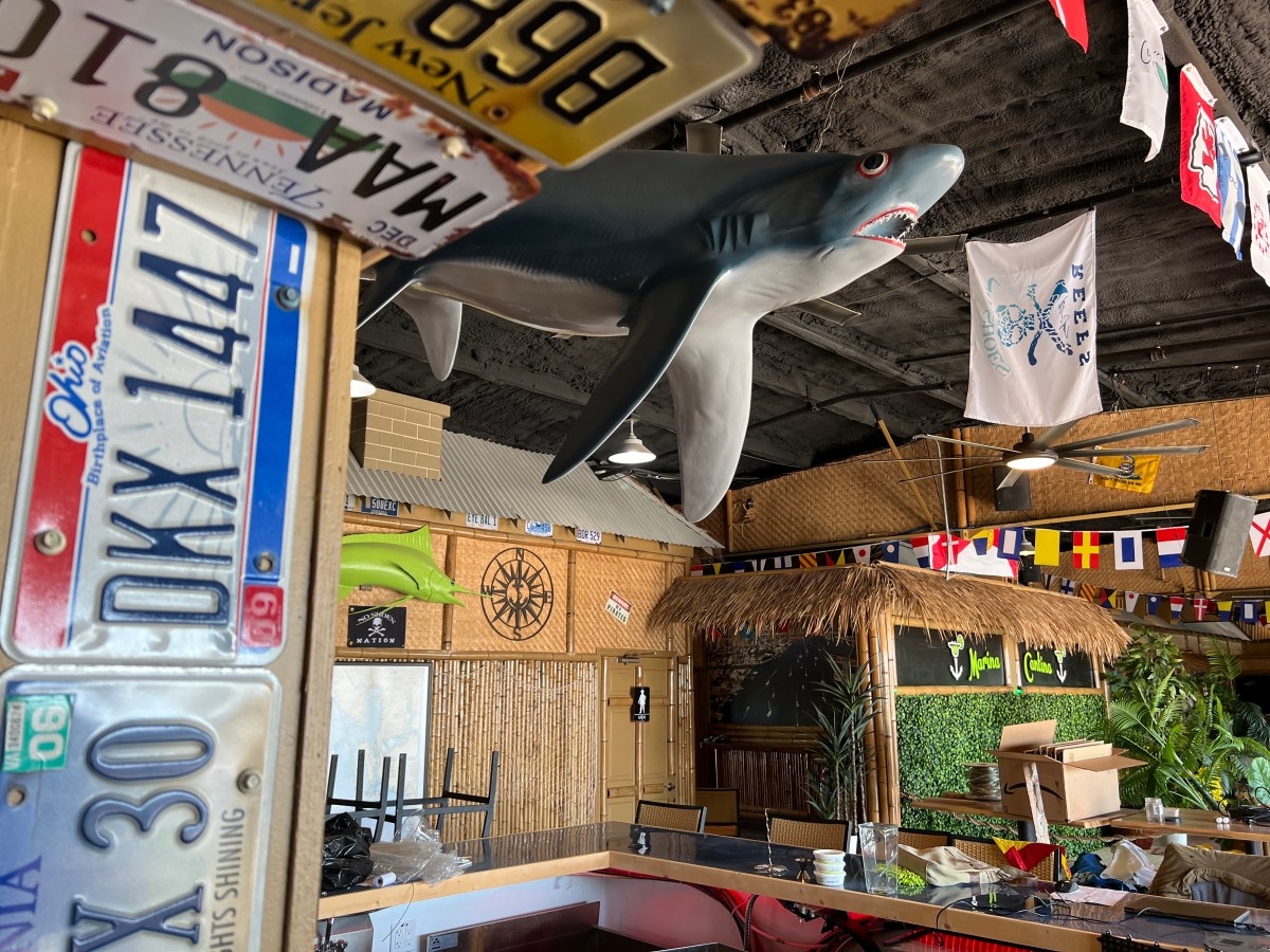 Tropical-themed bar with license plates, a hanging shark, and nautical flags.